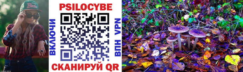Псилоцибиновые грибы Magic Shrooms  Новотитаровская 